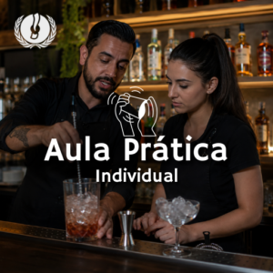 Aula Prática Individual